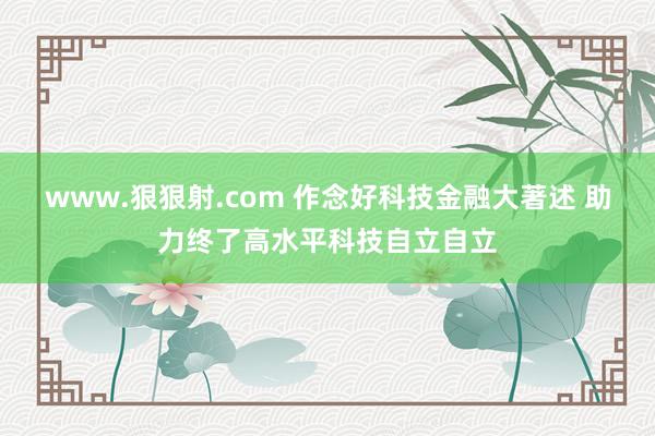 www.狠狠射.com 作念好科技金融大著述 助力终了高水平科技自立自立