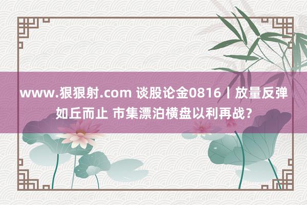 www.狠狠射.com 谈股论金0816丨放量反弹如丘而止 市集漂泊横盘以利再战？