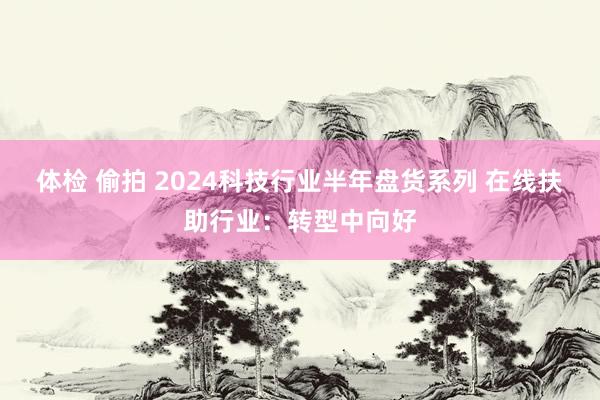 体检 偷拍 2024科技行业半年盘货系列 在线扶助行业：转型中向好