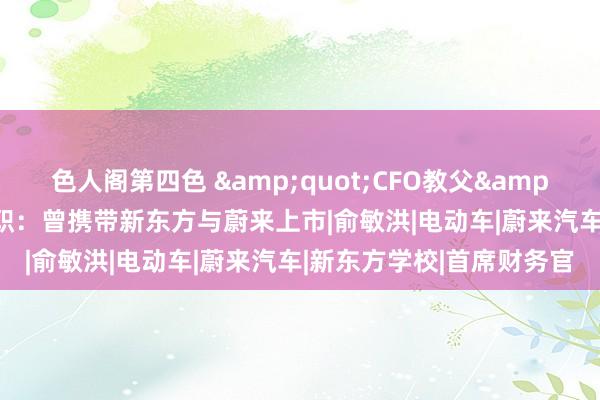 色人阁第四色 &quot;CFO教父&quot;谢东萤从禾赛辞职：曾携带新东方与蔚来上市|俞敏洪|电动车|蔚来汽车|新东方学校|首席财务官